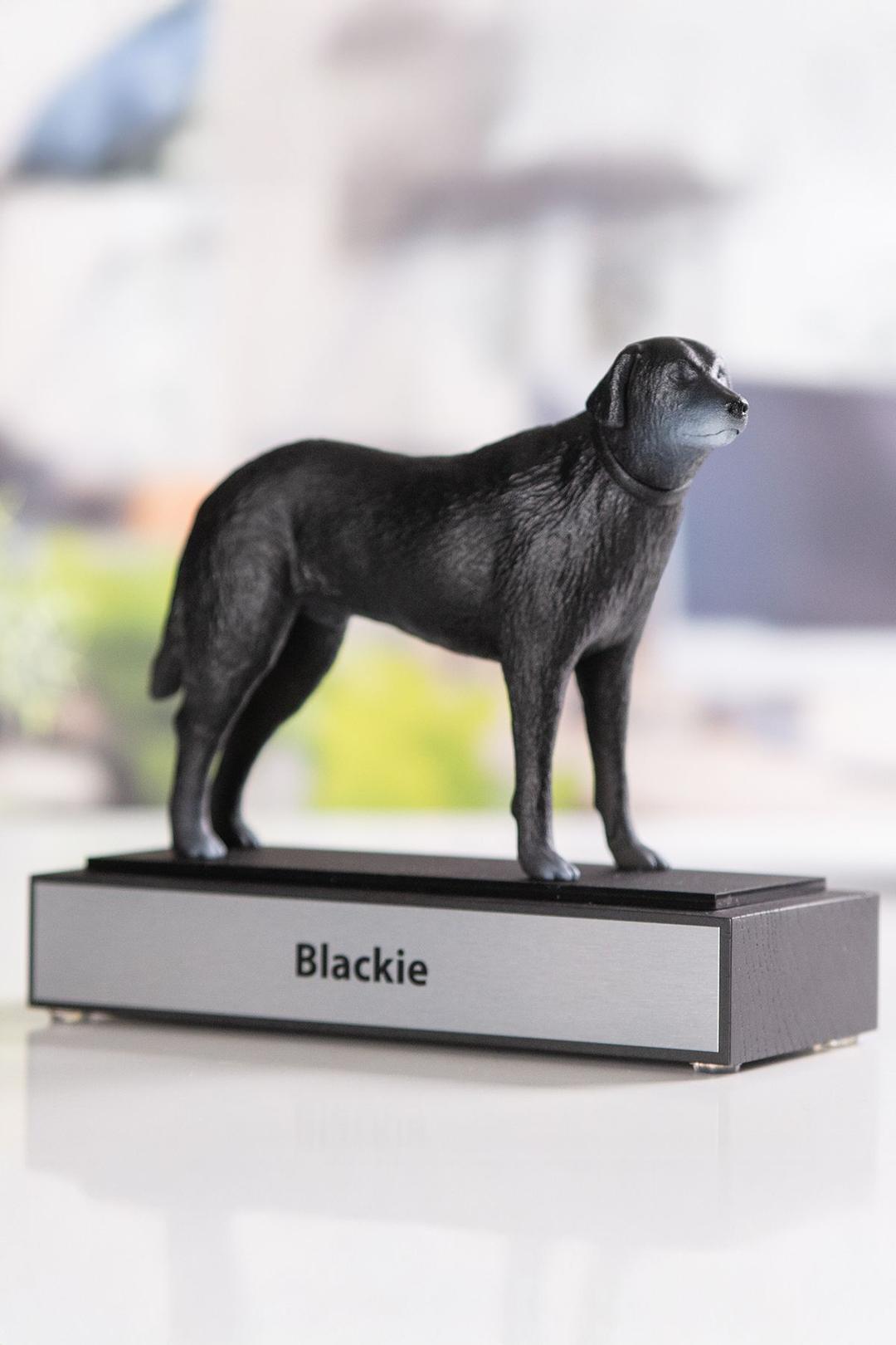 Trophée en 3D -  D3D007