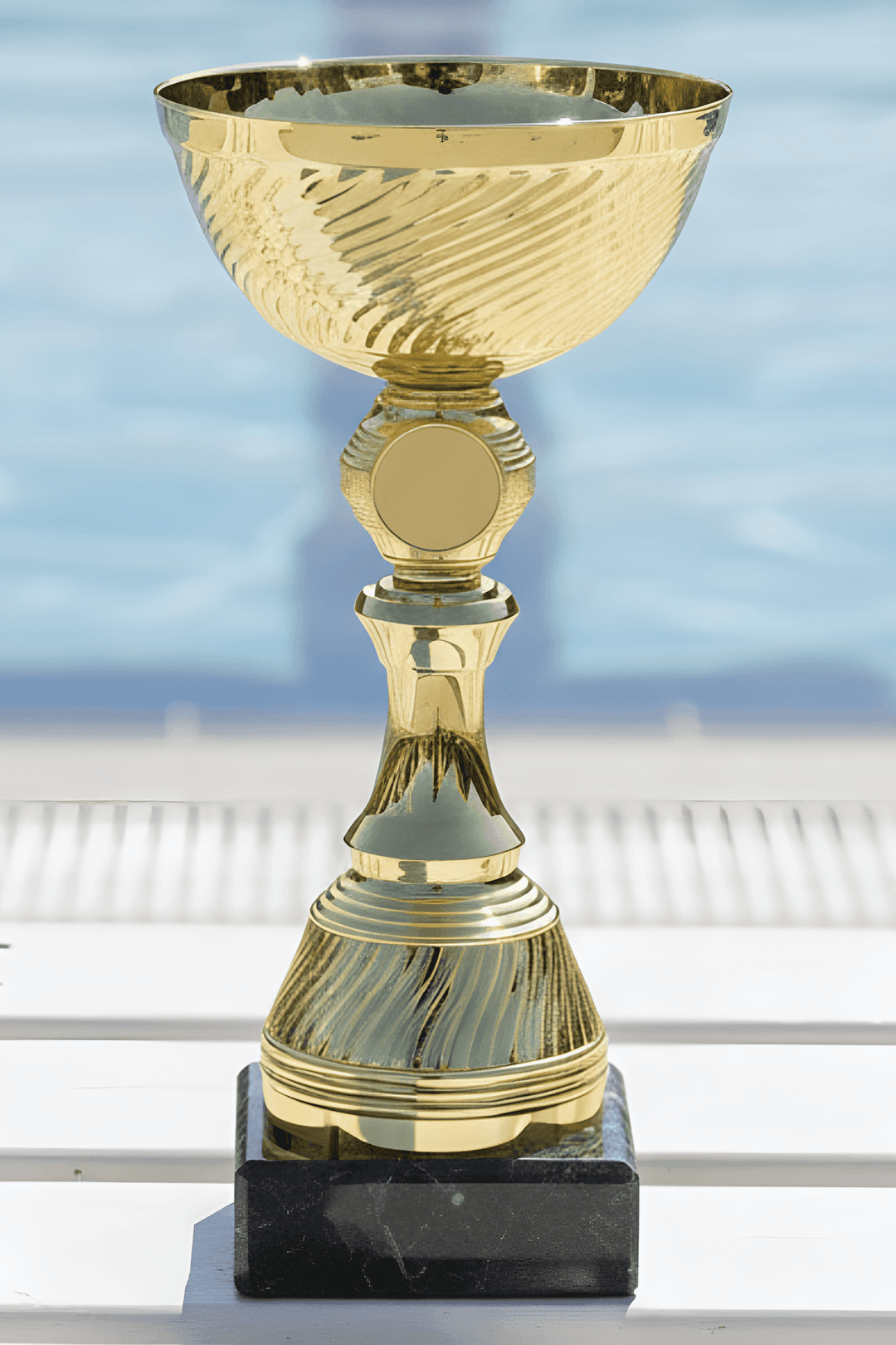 Puchar - CUP339
